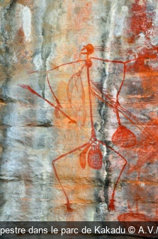 Peinture rupestre dans le parc de Kakadu A.V./S. Bichard