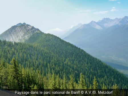 Paysage dans le parc national de Banff A.V./B. Metzdorf