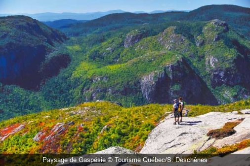 Paysage de Gaspésie Tourisme Québec/S. Deschênes
