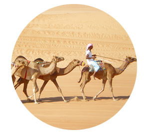 Voyage culturel au Sultanat d'Oman