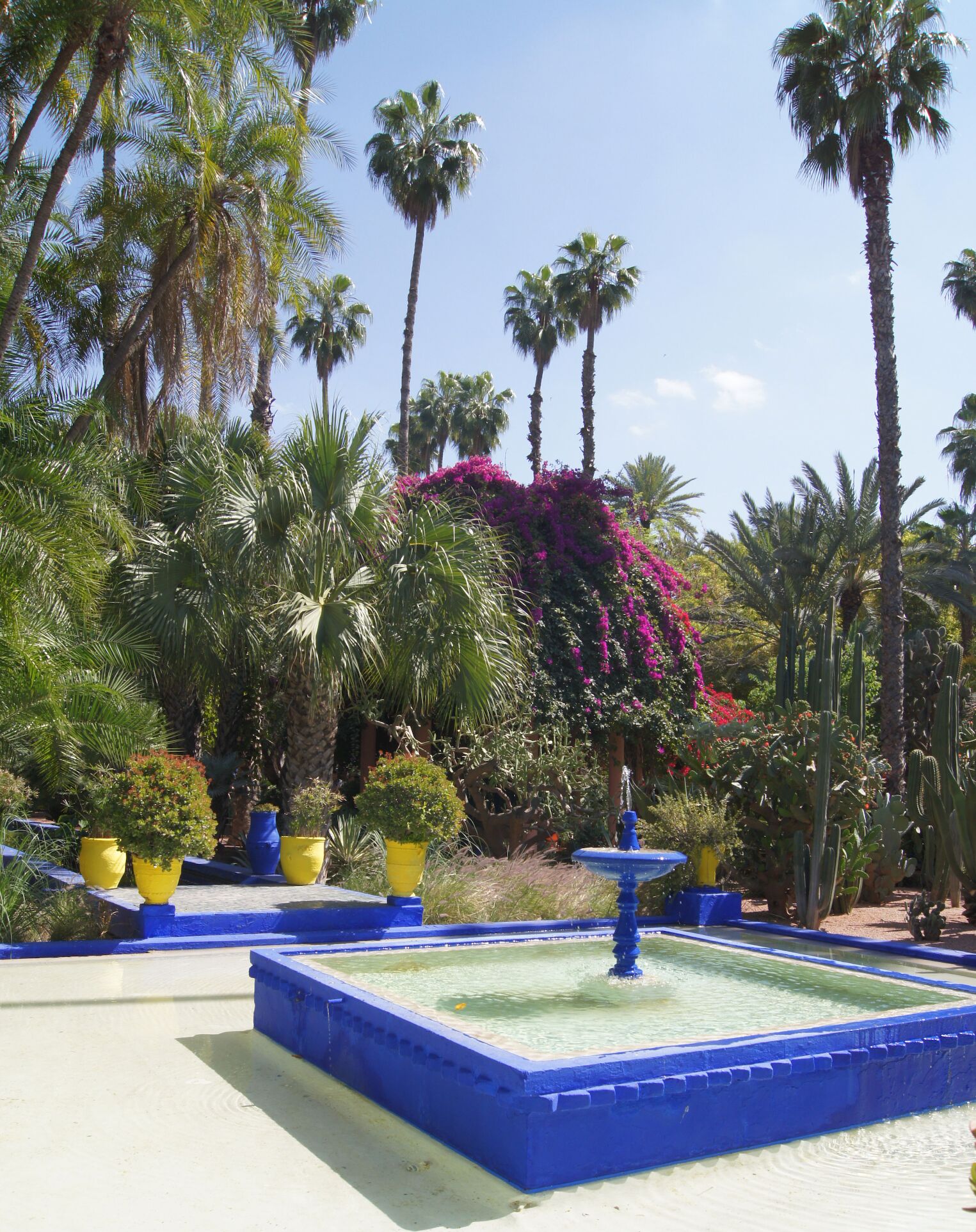 Dans le jardin Majorelle