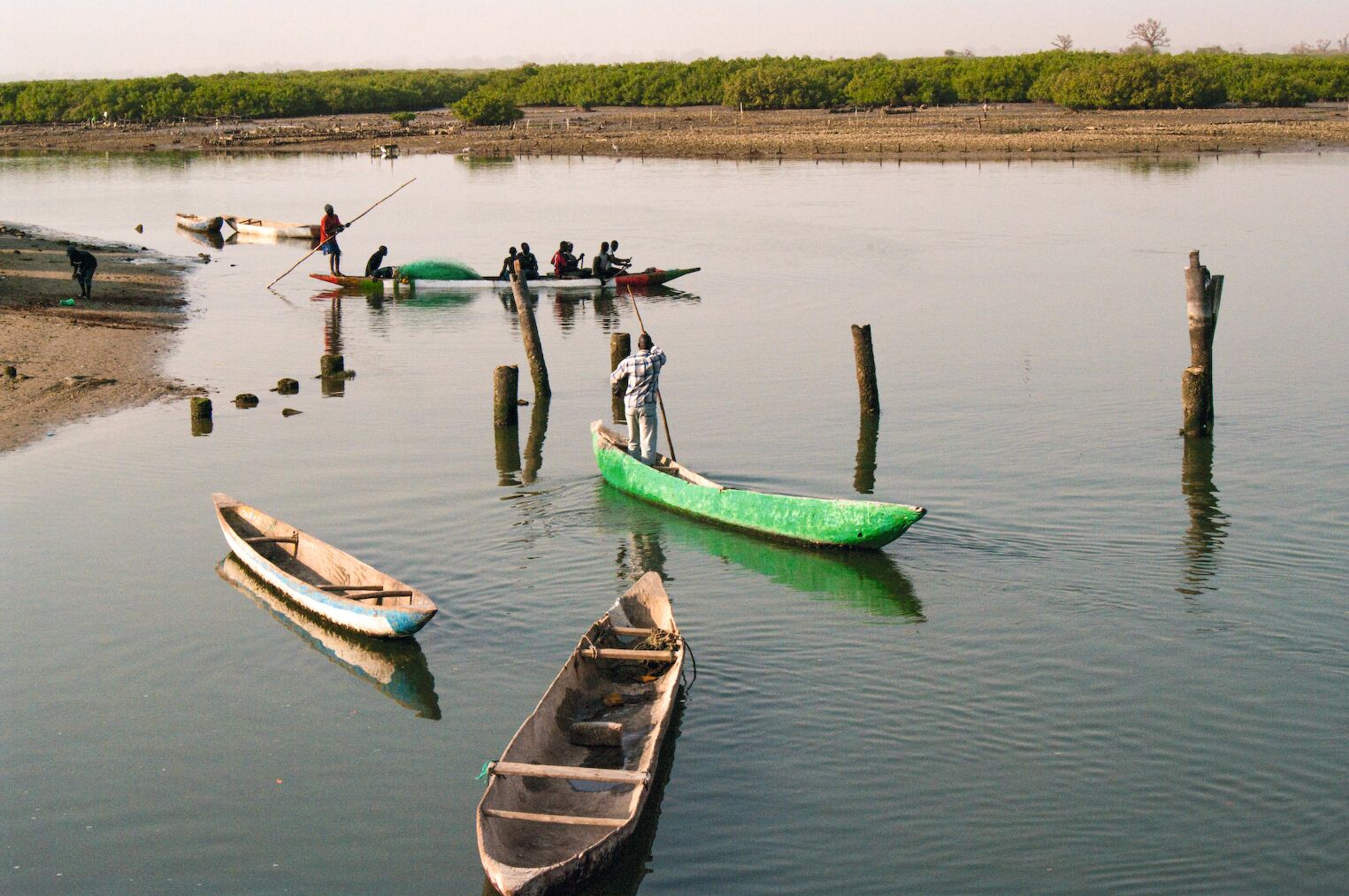 Dans le delta du Saloum