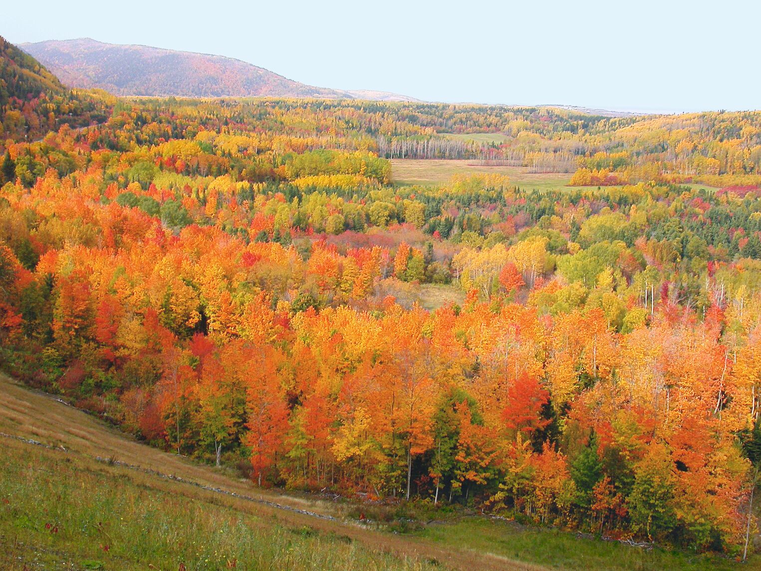 Paysage de Gaspésie