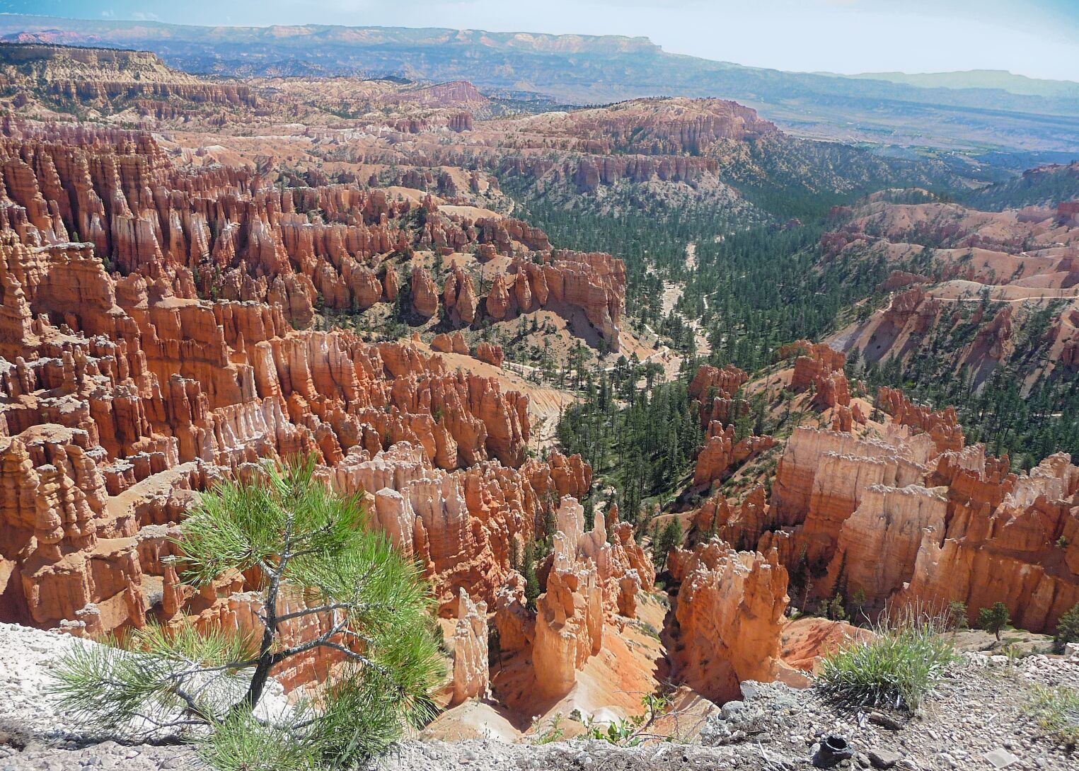 Les pitons rocheux de Bryce Canyon
