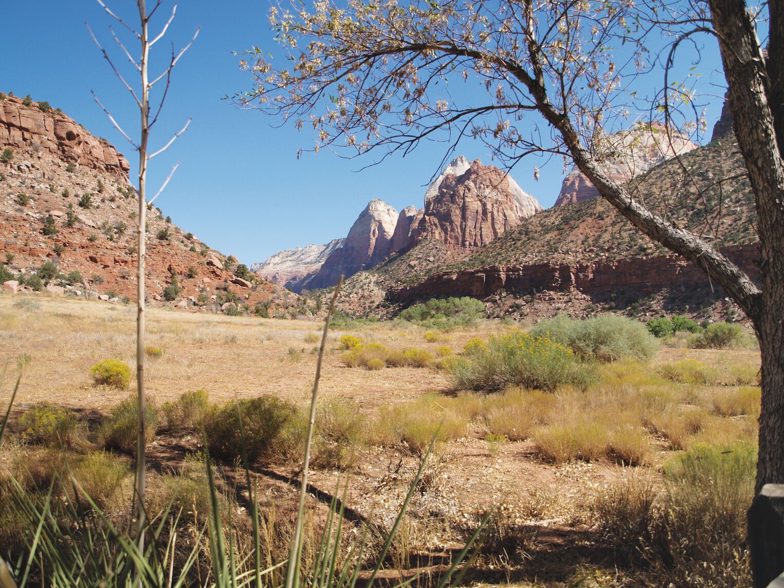 Le parc national de Zion