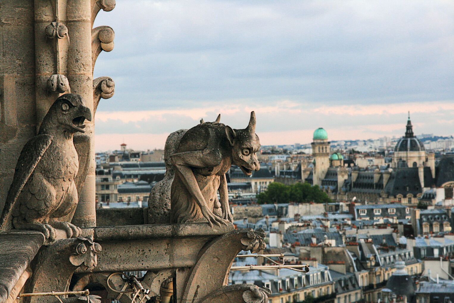Les gargouilles de Notre-Dame