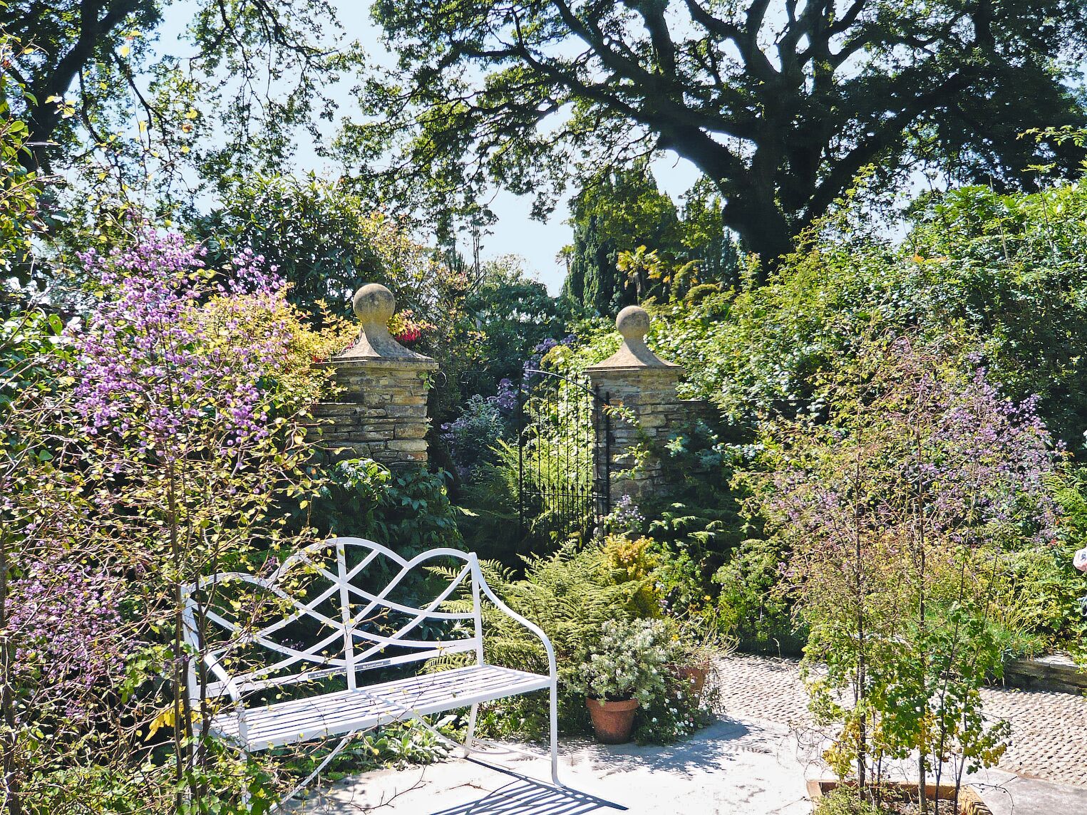 Dans les jardins perdus de Heligan