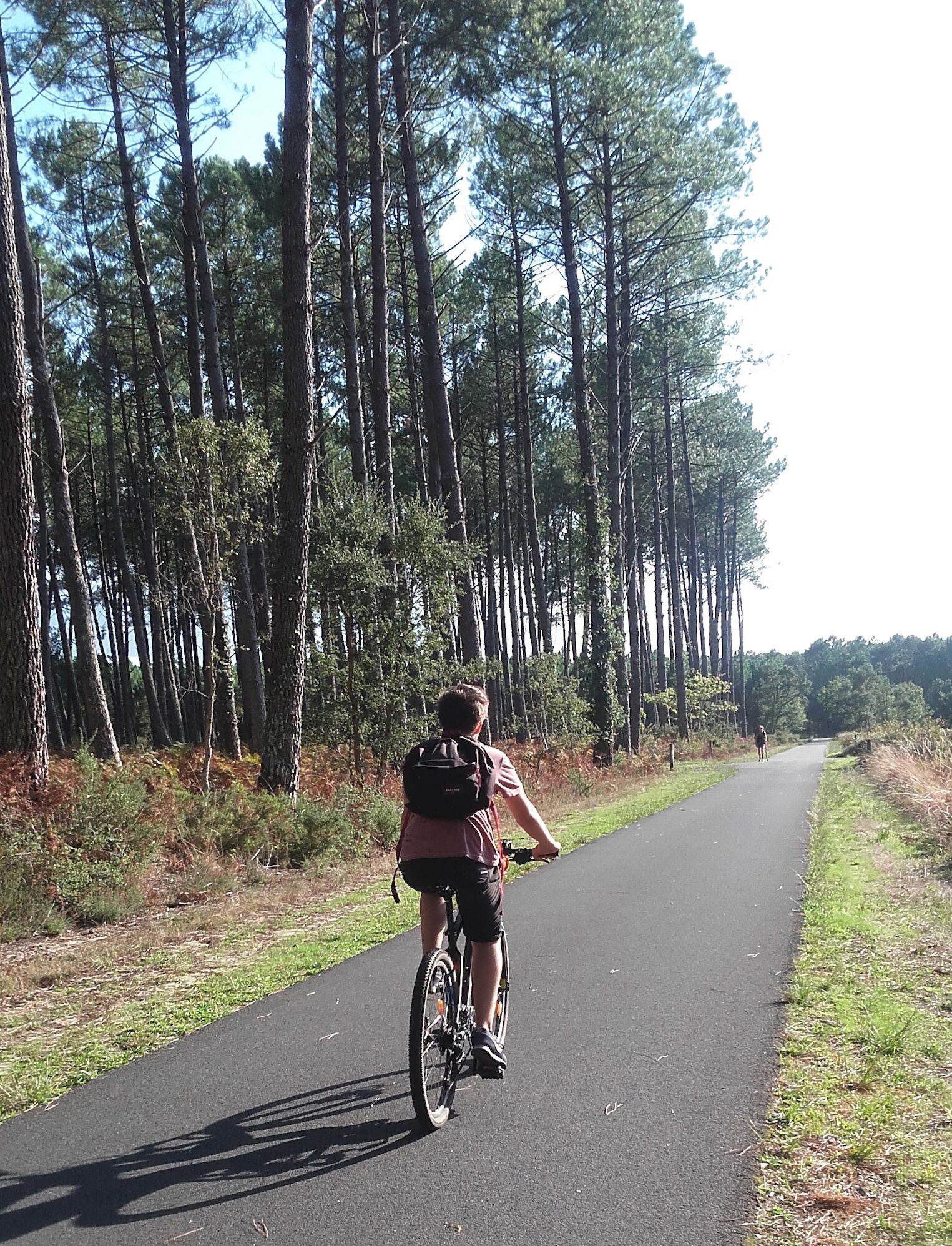 Cycliste sur une petite route dans les environs de Messanges
